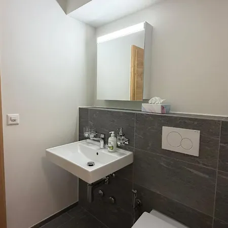 Exclusive Wef 2026 Minute Walk From Congress Daire